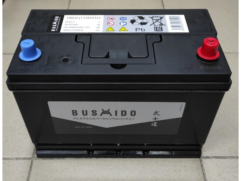 Аккумулятор Bushido Asia 100 a/h 850A R+