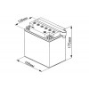 Аккумулятор UniPLUS EB30-3 (12v 30AH 385A)