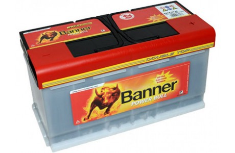 Аккумулятор Banner PROfessional 100 a/h 820A (EN)