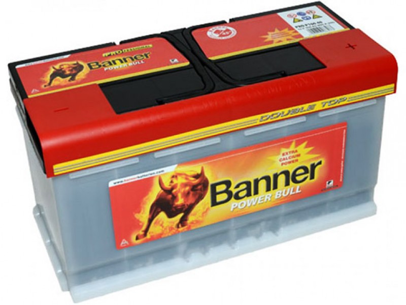 Аккумулятор Banner PROfessional 100 a/h 820A (EN)