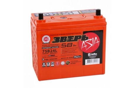 Аккумулятор Зверь 75B24L 58 A/h